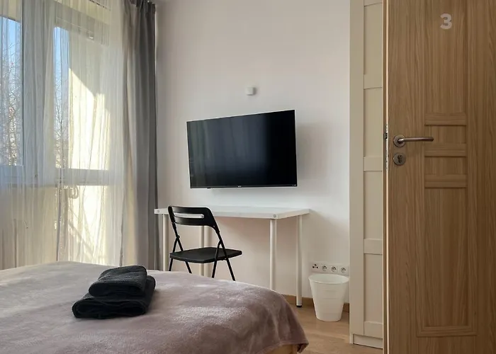 Hostel Shape&color Premium *