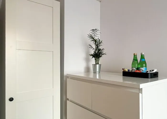 Shape&color Premium Warsaw