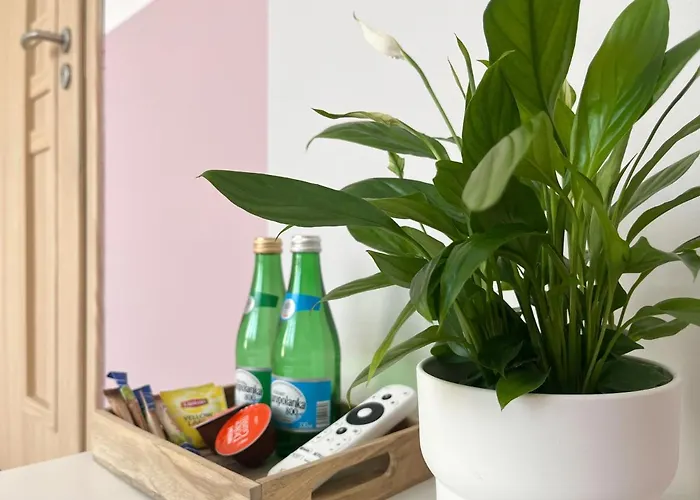 Hostel Shape&color Premium Warsaw