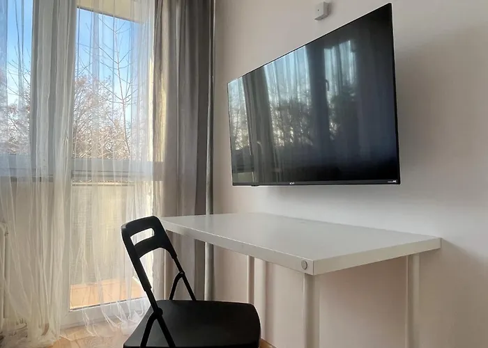 Hostel Shape&color Premium