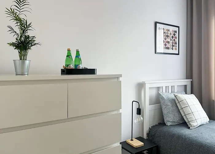 Shape&color Premium *