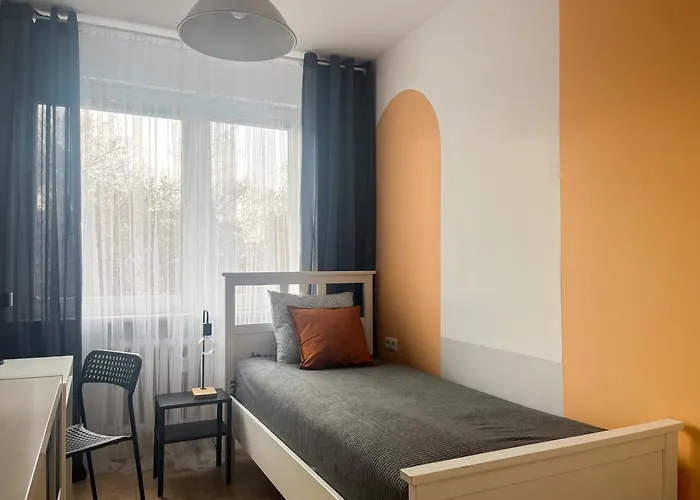 Shape&color Premium *